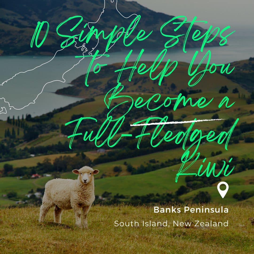 10 Simple Steps to Help You Become a Full-Fledged Kiwi