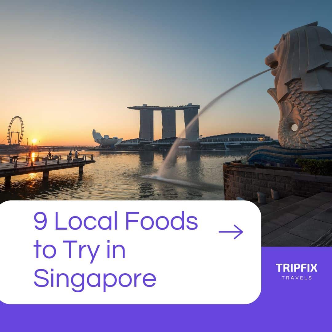 9 Local Foods to Try in Singapore
