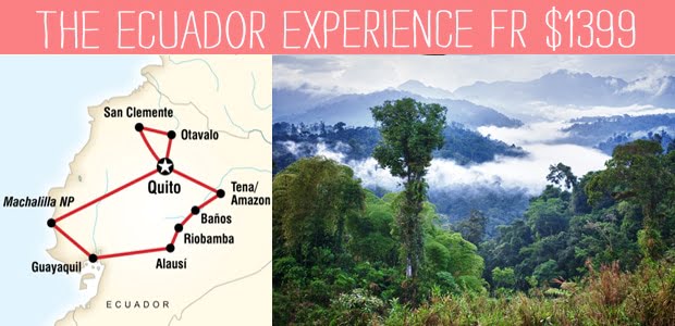 The-Ecuador-Experience